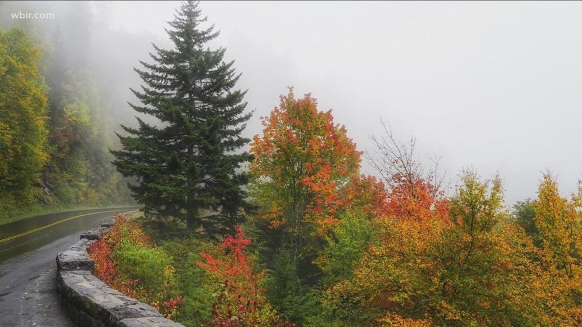 Dreams Come True With This Luxury Cabin! Gatlinburg Eksteriør billede