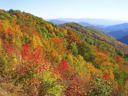 Dreams Come True With This Luxury Cabin! Gatlinburg Eksteriør billede